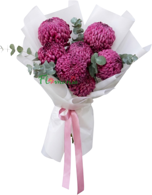7 премиум хризантем bigoudi purple