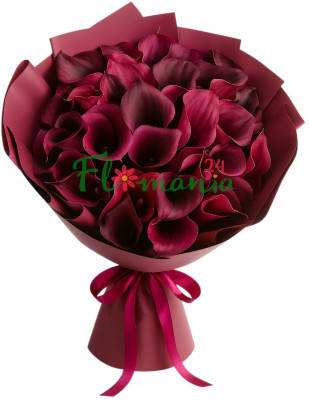 Страстный букет из 25 бордовых калл